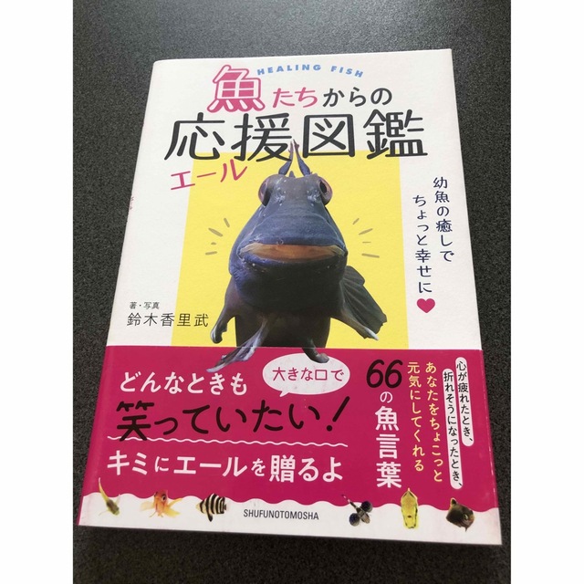 魚たちからの応援図鑑　帯有　美品　鈴木香里武　 エンタメ/ホビーの本(科学/技術)の商品写真