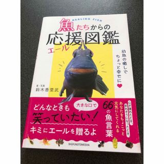 魚たちからの応援図鑑　帯有　美品　鈴木香里武　(科学/技術)