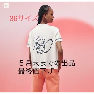 エルメス入手困難Tシャツ ボクシーフィット 《カルトゥッシュ ...