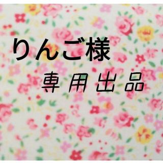 りんご様専用　移動ポケット2点　クリップ付き　送料込み(外出用品)