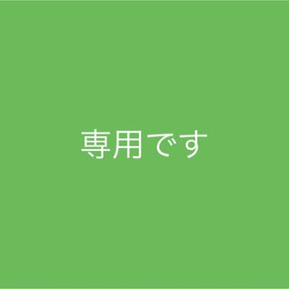 FEILER - フェイラー×ANA☆ティップトップフォレスト☆手付き巾着の