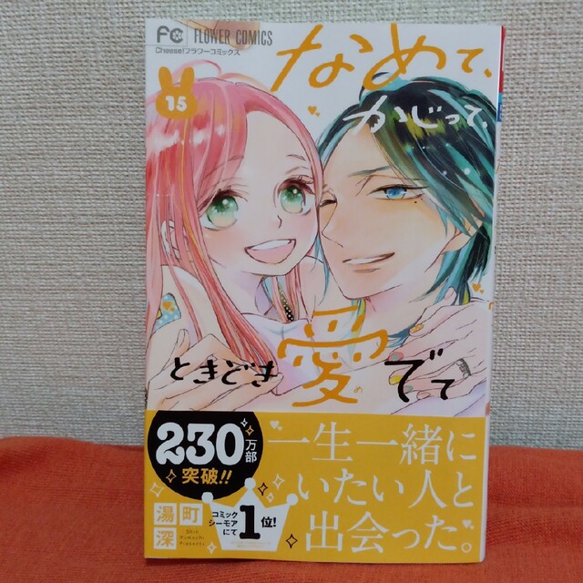 小学館(ショウガクカン)の56789様専用 エンタメ/ホビーの漫画(少女漫画)の商品写真