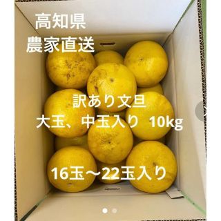 高知県産土佐文旦訳あり商品10kg(大玉、中玉入り)(フルーツ)