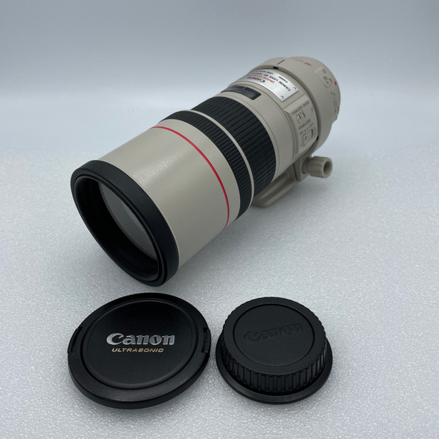 Canon - Canon EF 300mm F4 L IS USM