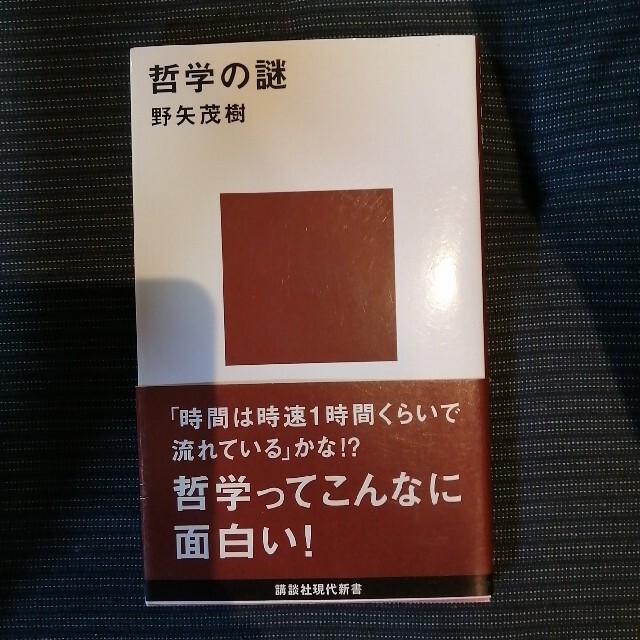 哲学の謎　野矢茂樹 エンタメ/ホビーの本(その他)の商品写真