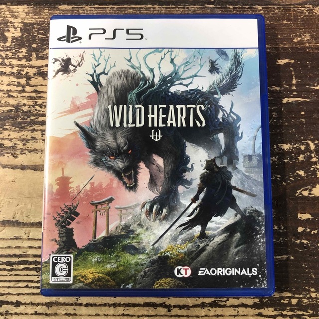 WILD HEARTS PS5