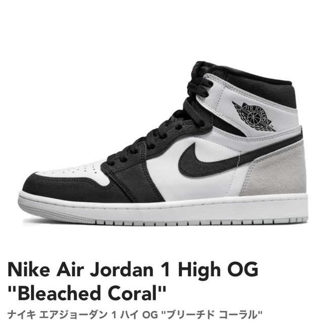 Nike Air Jordan 1 High OGスニーカー