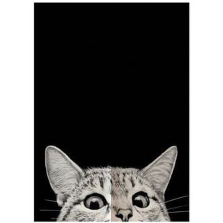 残り1点 のれん BLACK CAT 送料無料 新品 75cm✖️90cm(のれん)