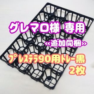 【専用システムトレー：黒】2枚セット!!スリット鉢プレステラ90用プラ鉢多肉植物(プランター)