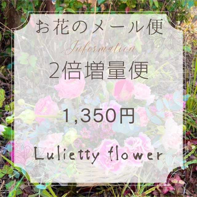 通常の2倍■季節のお花のメール便2倍増量■ 切花生花メール便1,350円 ハンドメイドのフラワー/ガーデン(その他)の商品写真