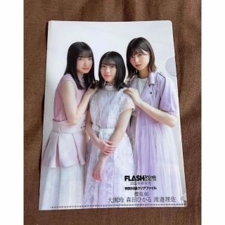 櫻坂46 クリアファイル