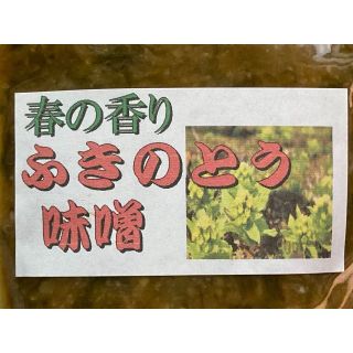 送料無料　春の香り　ふきのとう味噌　4ｐ(その他)