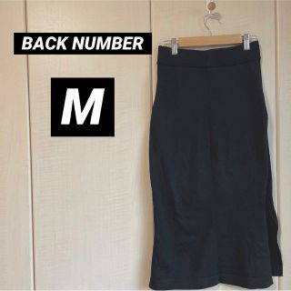 バックナンバー(BACK NUMBER)のBACK NUMBER バックナンバー　スカート　ロングスカート(ロングスカート)