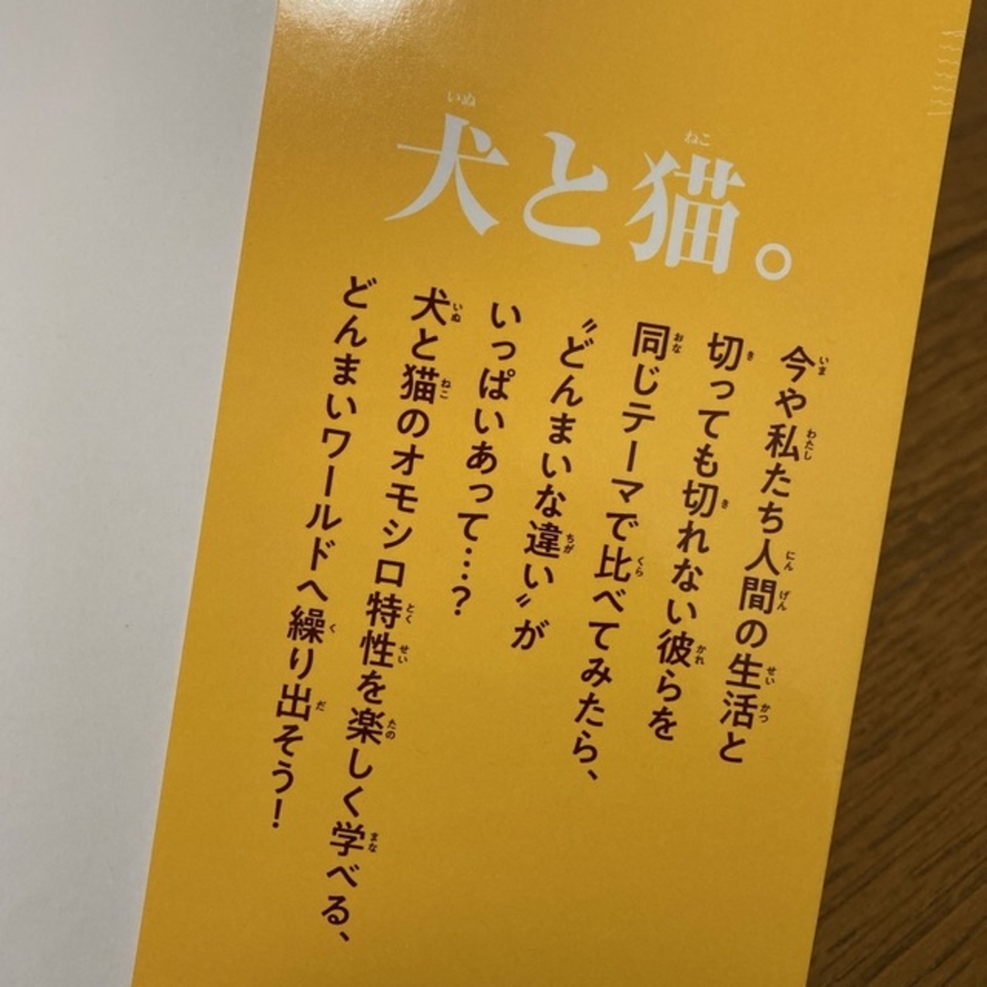 宝島社 - トト☺︎様専用☆それでもがんばる!どんまいな犬と猫図鑑の