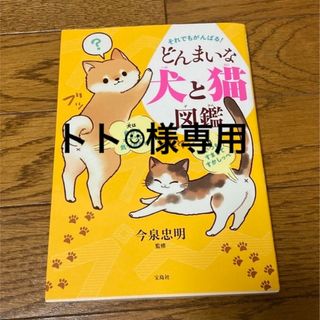 宝島社 - トト☺︎様専用☆それでもがんばる!どんまいな犬と猫図鑑の