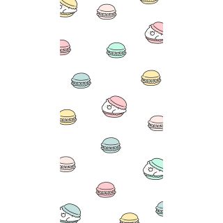 sachi様専用(その他)