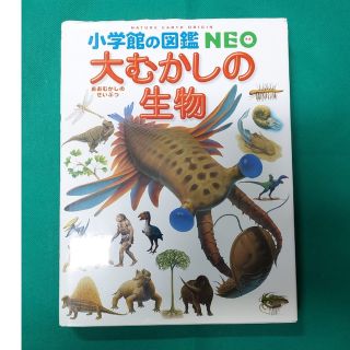 ショウガクカン(小学館)の【あーきー様専用】【中古図鑑③】小学舘の図鑑 NEO「大むかしの生物」※433(絵本/児童書)