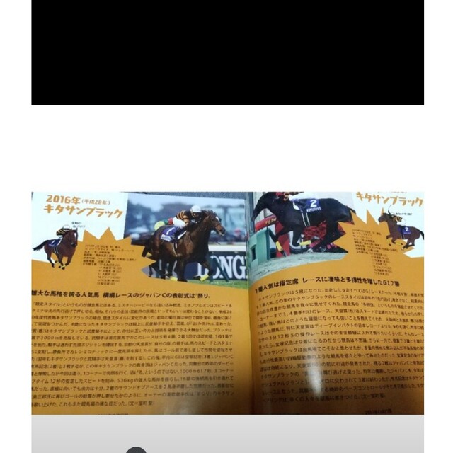 良好品】【良好品】JRA ウインズ立川 35周年 メモリアルブック 年度代表馬35頭 おがわじゅり ノベルティグッズ 