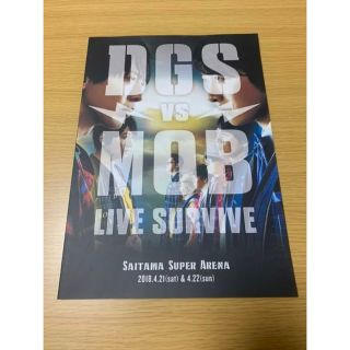 DGS VS MOB LIVE SURVIVE パンフレット(その他)