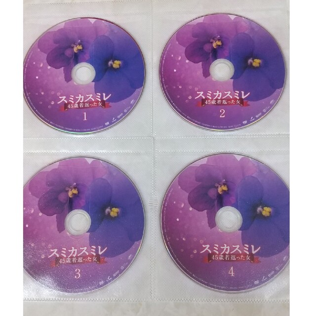 スミカスミレ DVD 桐谷美玲 レンタル落ち 全4巻の通販 by はる's shop
