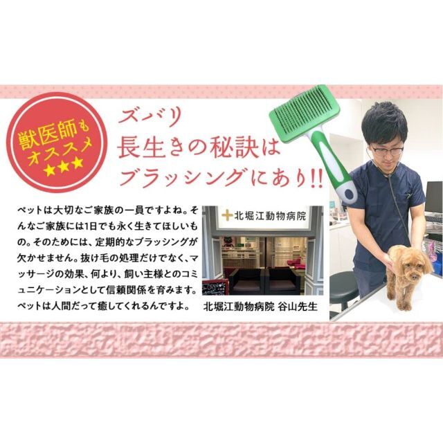 【色: Green】獣医師推奨 猫 ブラシ 犬 ブラシ  ワンプッシュ 超簡単抜