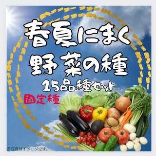 夏　野菜の種　種子　家庭菜園におすすめ　15種類　固定種【2023年-2】(その他)