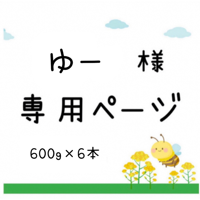 日本蜜蜂 蜂蜜 国産 600g×6本【2023年2月採蜜‼️】 国内外の人気！ 食品/飲料/酒