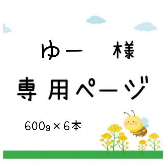 日本蜜蜂 蜂蜜 国産 600g×6本【2023年2月採蜜‼️】(野菜)