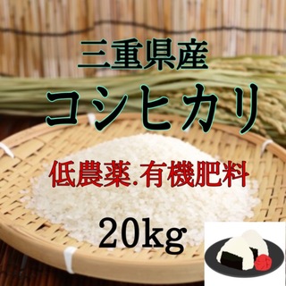 三重県産コシヒカリ20kg   精米出来ます(米/穀物)