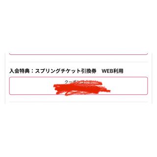 チバロッテマリーンズ(千葉ロッテマリーンズ)の千葉ロッテマリーンズ　スプリングチケット引換券(その他)