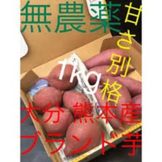無農薬シルクスイートサツマイモ 貯蔵 熟成 土付き西原シルク1キロ送料無料(野菜)