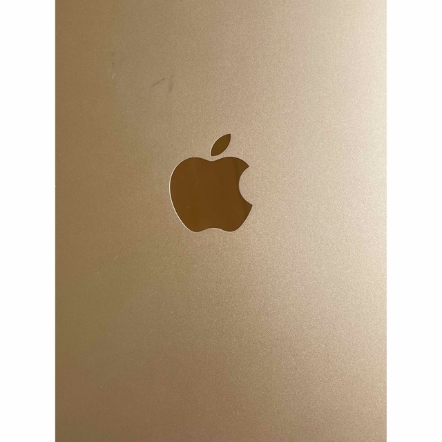 iPad Air2(A1566)本体16GB ゴールドWi-Fiモデル　本体 8