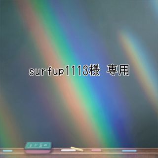 ポケモン(ポケモン)の◆ surfup1113様 専用 ◆ ミライドンキーホルダー(その他)