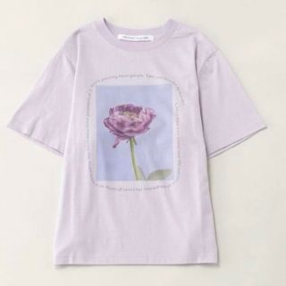 ジェーンマープル(JaneMarple)のご専用　ジェーンマープル Wonder rose Tシャツ 新品 アリス 薔薇(Tシャツ(半袖/袖なし))