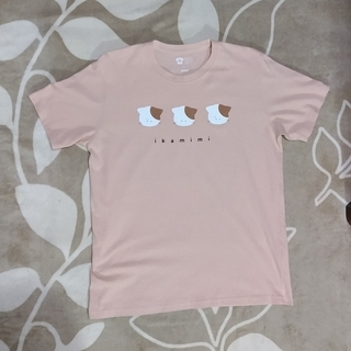 【アボカド様専用】猫 Tシャツ レディース Lサイズ(Tシャツ(半袖/袖なし))