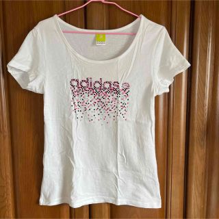 アディダス(adidas)のadidas レディース　白　半袖　Mサイズ Tシャツ　棉(Tシャツ(半袖/袖なし))