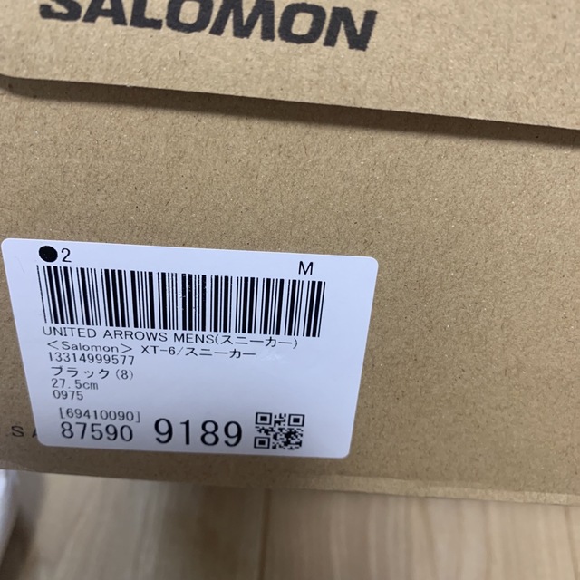 SALOMON XT-6