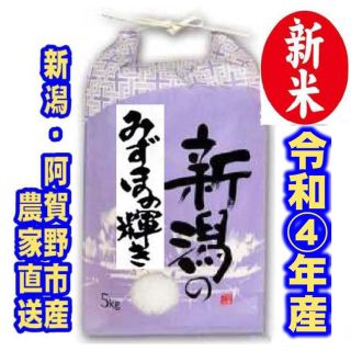 令和4年産新潟みずほの輝き★色彩選別済白米5㌔×1個★幻の農家専用12(米/穀物)