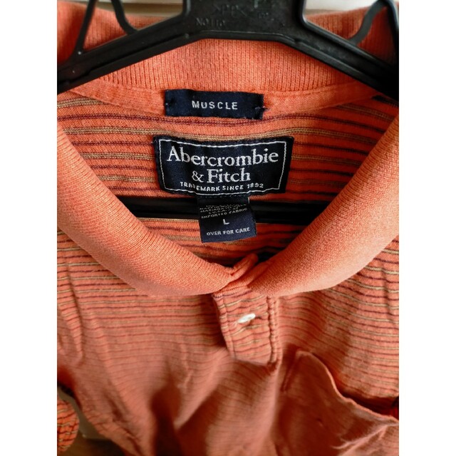 Abercrombie&Fitch(アバクロンビーアンドフィッチ)のアバクロンビー ポロシャツ L 男女兼用 メンズのトップス(ポロシャツ)の商品写真