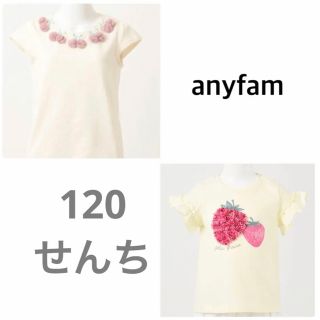 エニィファム(anyFAM)のanyfam トップスセット(Tシャツ/カットソー)