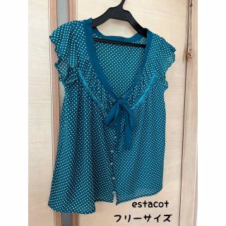 エスタコット(ESTACOT)のestacot エスタコット　トップス　カットソー　半袖　水玉(カットソー(半袖/袖なし))