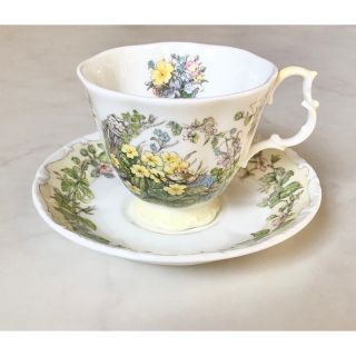 ロイヤルドルトン(Royal Doulton)のロイヤルドルトン カップ＆ソーサー ブランベリーヘッジ スプリング (食器)