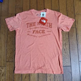 ザノースフェイス(THE NORTH FACE)のザノースフェイス◎カラーへザードメッシュTシャツ◎メンズS(Tシャツ/カットソー(半袖/袖なし))