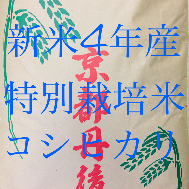 特売中！！4年産『特別栽培米・丹後産コシヒカリ』送料無料、精米サービスします。 食品/飲料/酒の食品(米/穀物)の商品写真