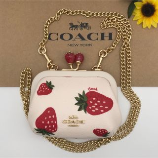 COACH - COACH ☆大人気☆ ノラ キスロック ワイルド ストロベリー