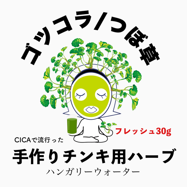 ツボクサ/ゴツコラ摘のみたて葉30g　手作りチンキやハンガリーウォーターなどに ハンドメイドのフラワー/ガーデン(その他)の商品写真