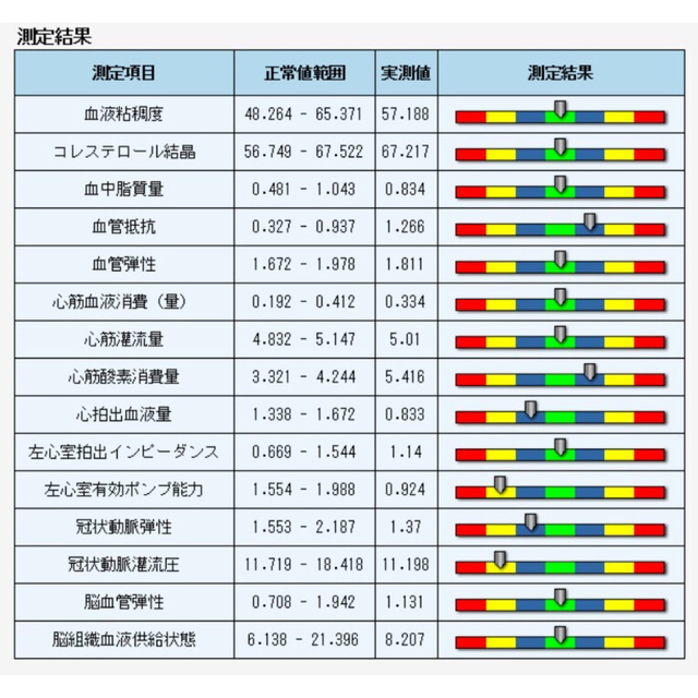 値下げします！送料無料　波動測定器　量子アナライザー　量子磁気共鳴　健康管理に！コスメ/美容