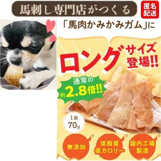 【健康いぬ生活】 馬肉かみかみガム ロングサイズ ×１袋(ペットフード)