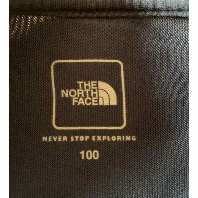 THE NORTH FACE(ザノースフェイス)のthe north face ノースフェイスカットソー　サイズ100 キッズ/ベビー/マタニティのキッズ服女の子用(90cm~)(Tシャツ/カットソー)の商品写真