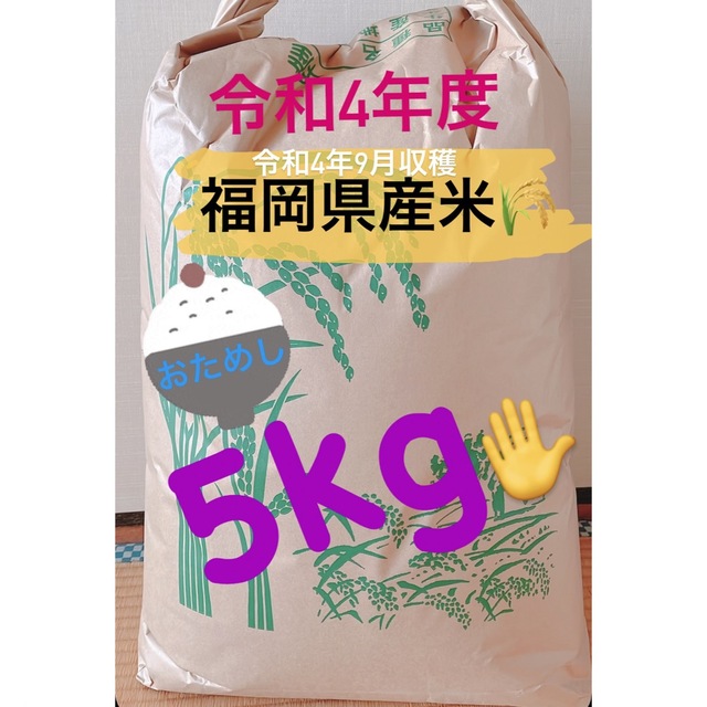 令和4年度　福岡県産米　5キロ 食品/飲料/酒の食品(米/穀物)の商品写真